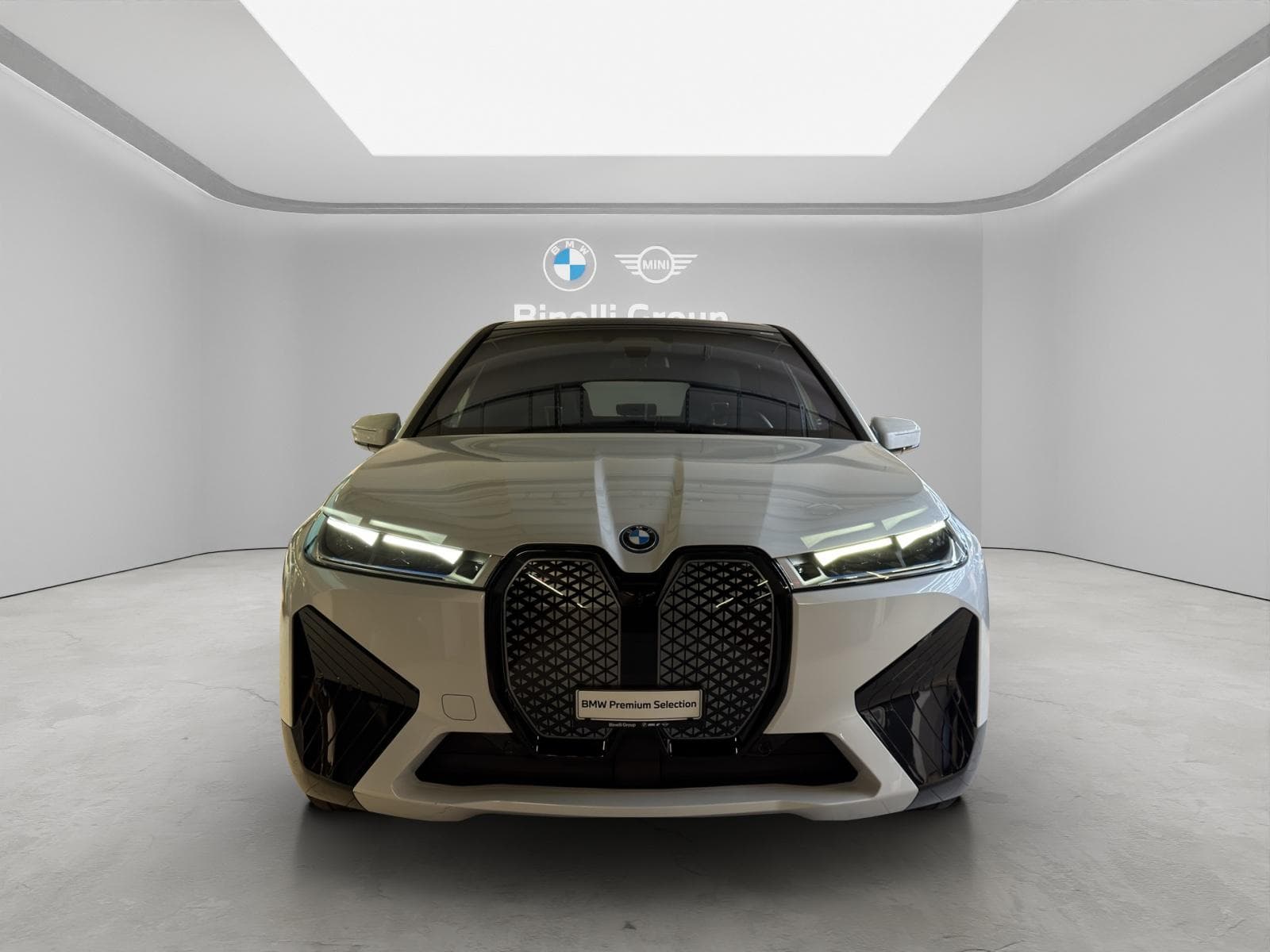 BMW iX xDrive40 - Vorschau 2