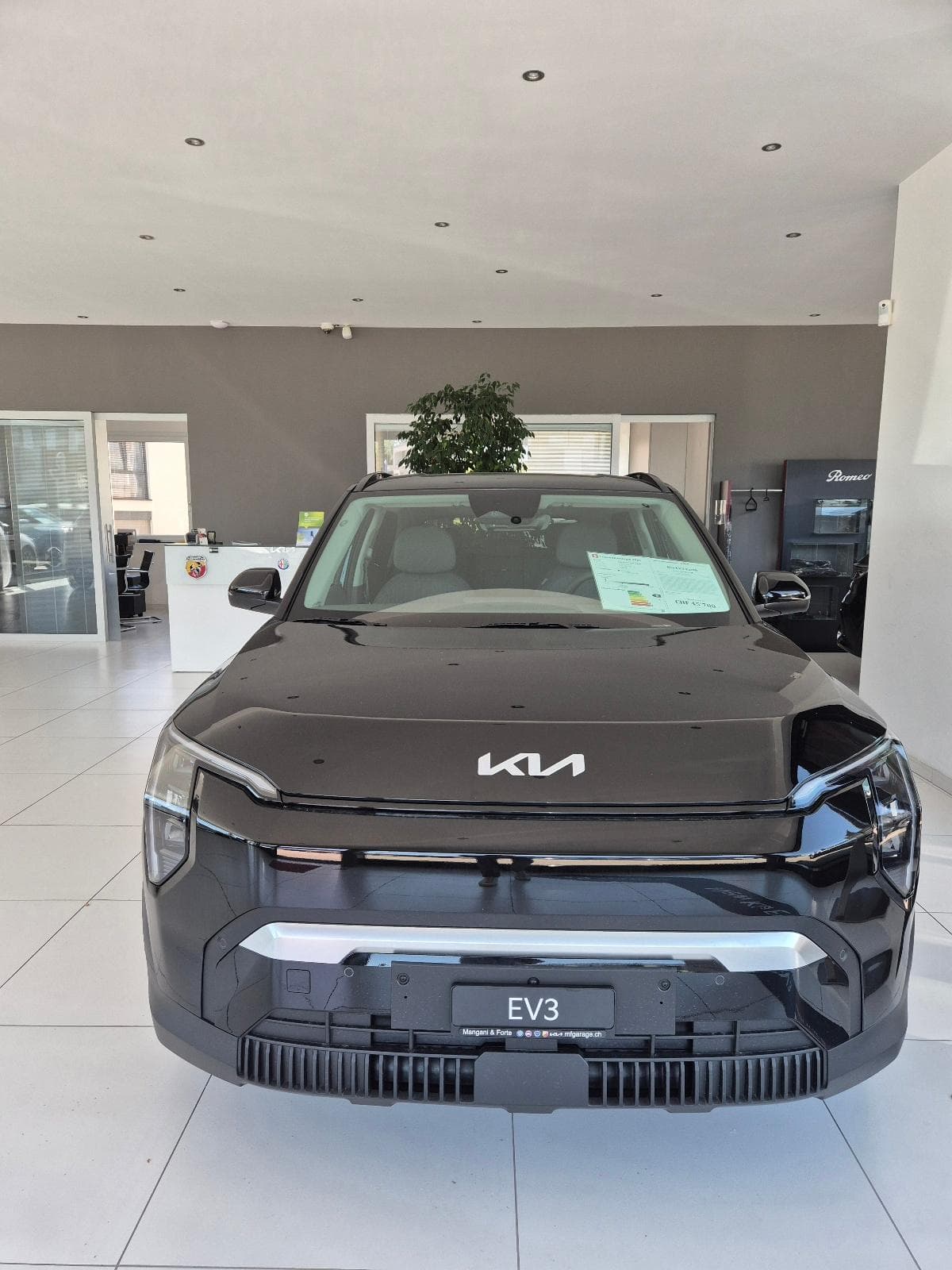 Kia EV3 81 kWh Earth