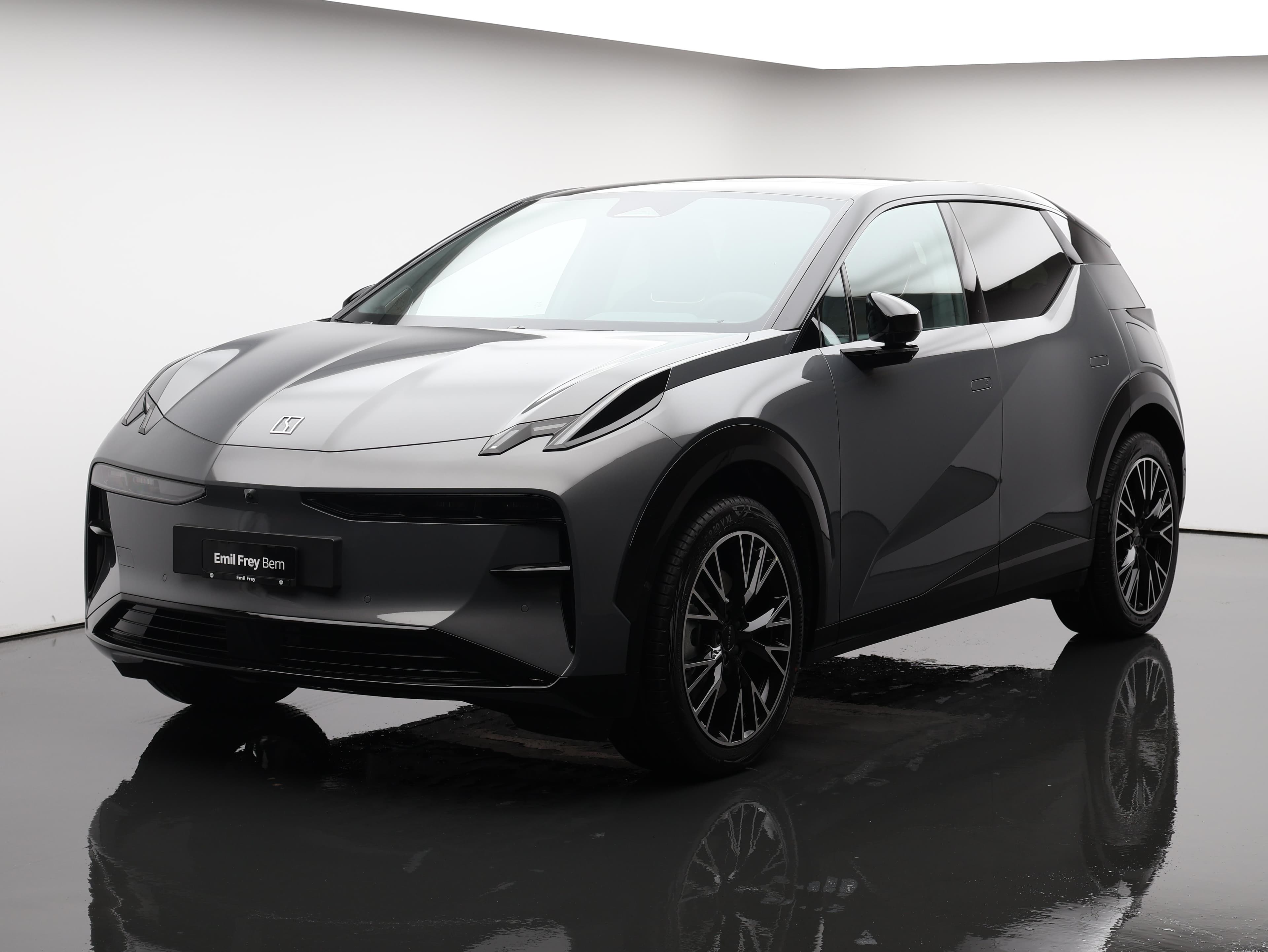 Zeekr X Privilege AWD 1.49% Leasing