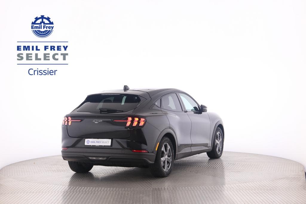 Ford Mustang Mach-E Standard - Vorschau 2