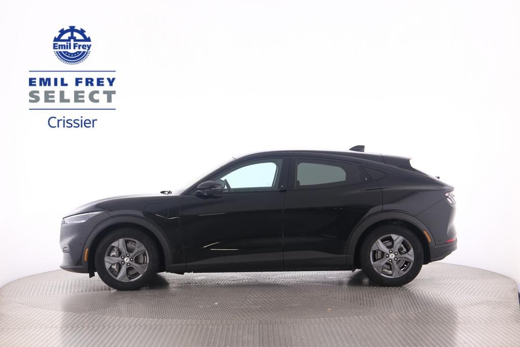 Ford Mustang Mach-E Standard - Vorschau 3