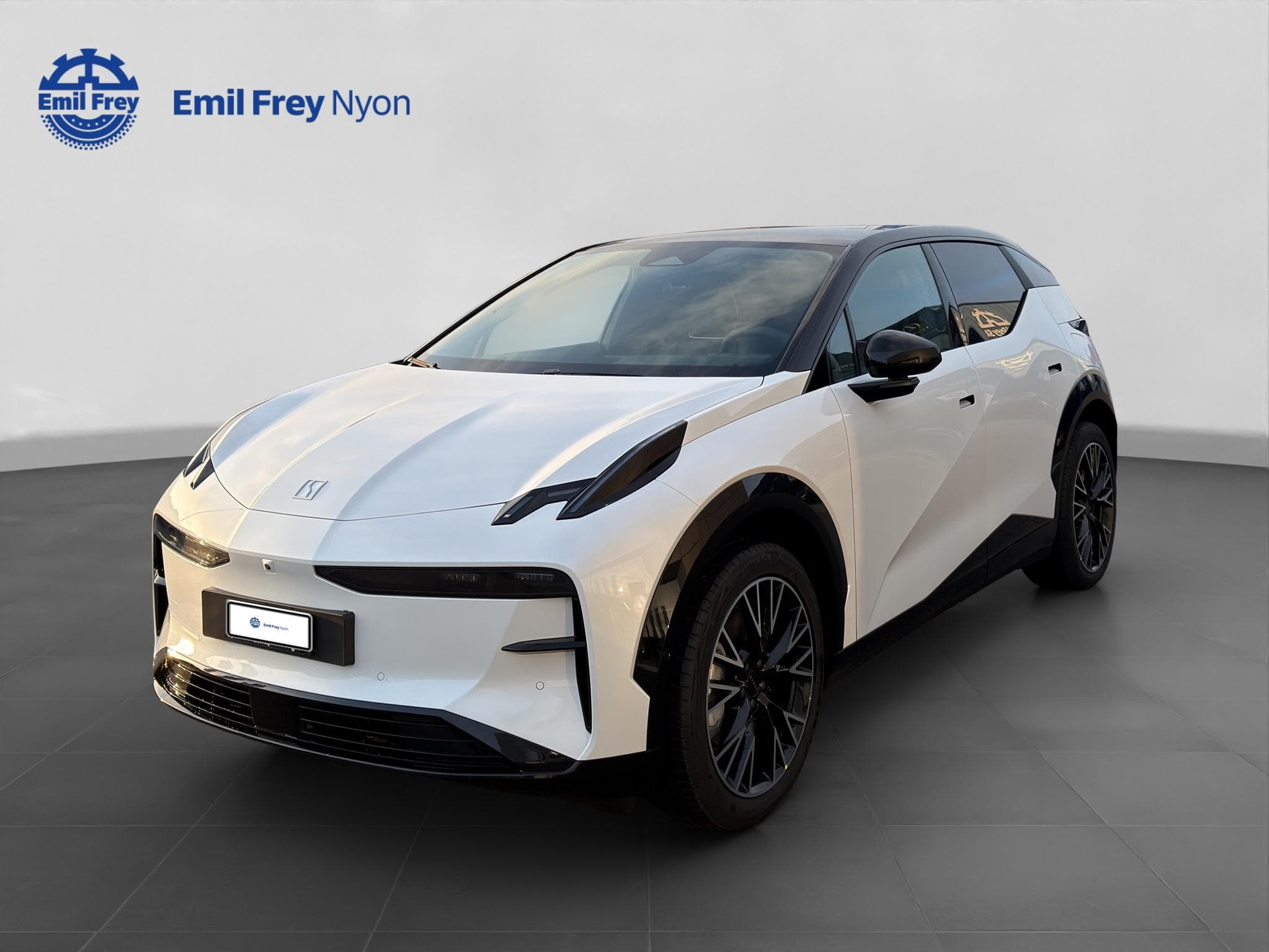 Zeekr X Privilege AWD