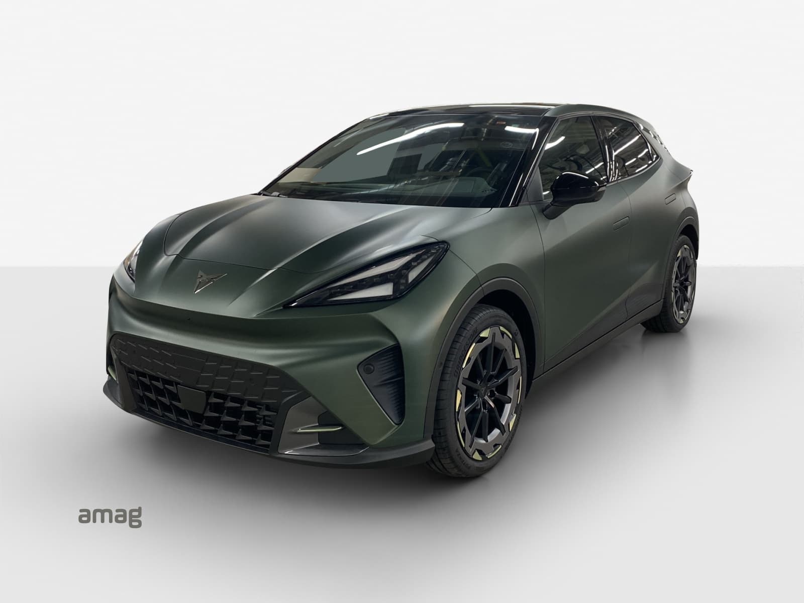 CUPRA RAVAL VZ EXTREME 55 kWh 166 kW