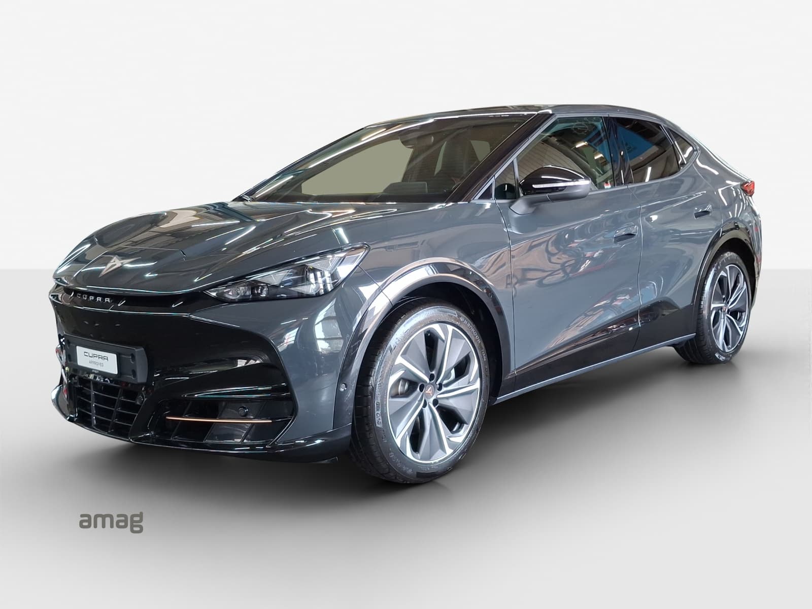 NEW CUPRA TAVASCAN VZ TYPE 8 77kWh 340PS 4DRIVE (netto)