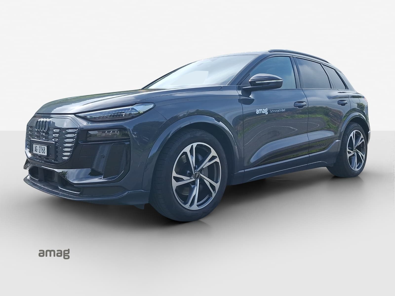 Q6 SUV e-tron quattro