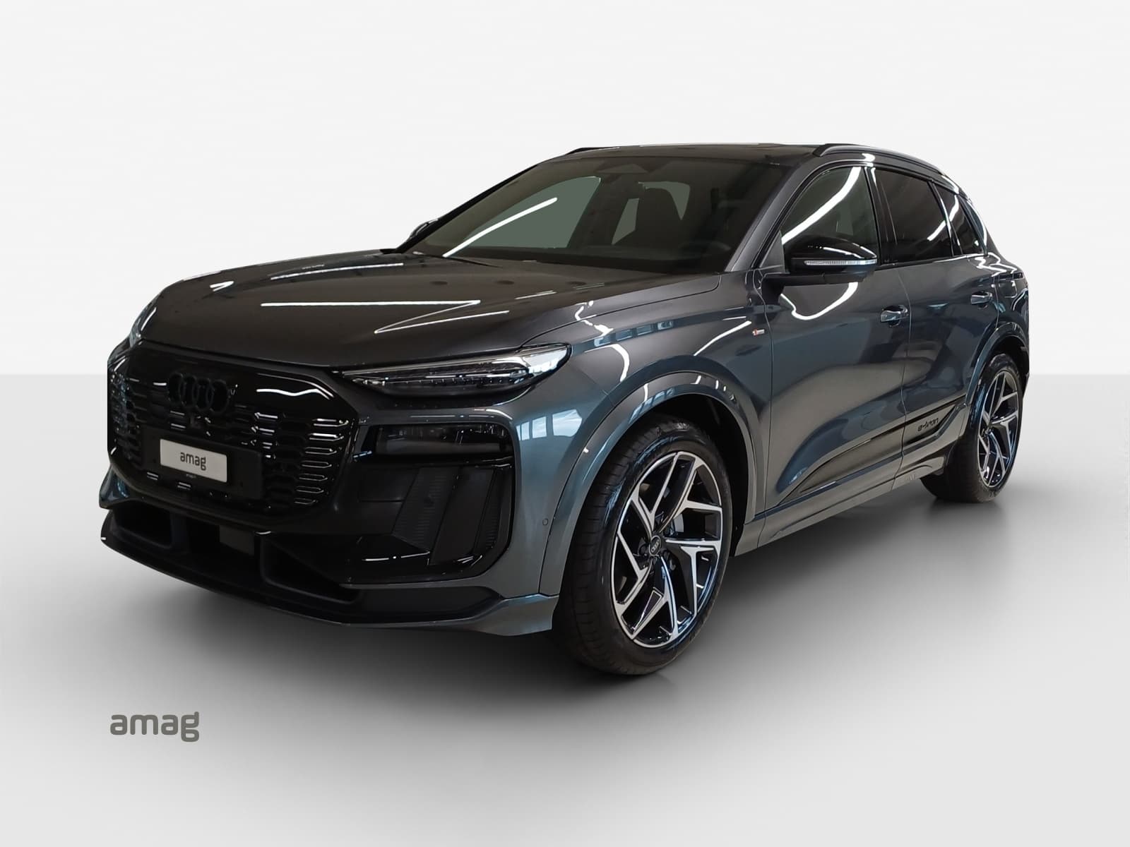 Q6 SUV e-tron quattro
