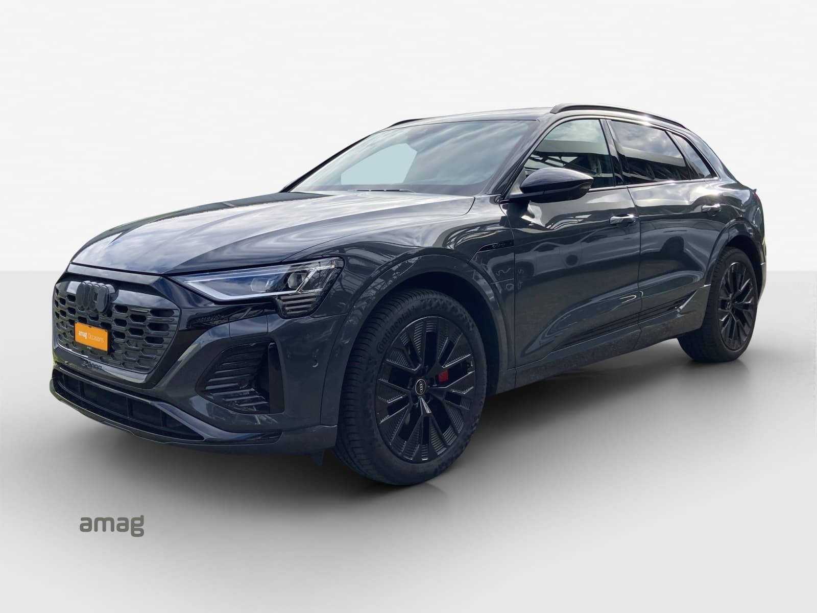 Q8 55 e-tron Black Edition