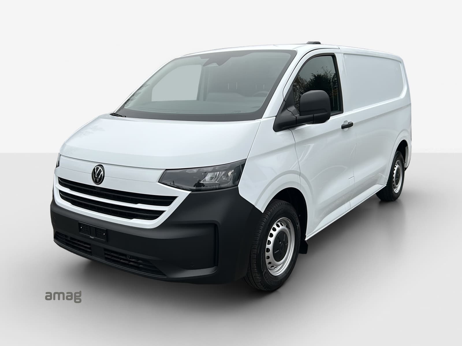 Transporter Kastenwagen BEV RS 3100mm
