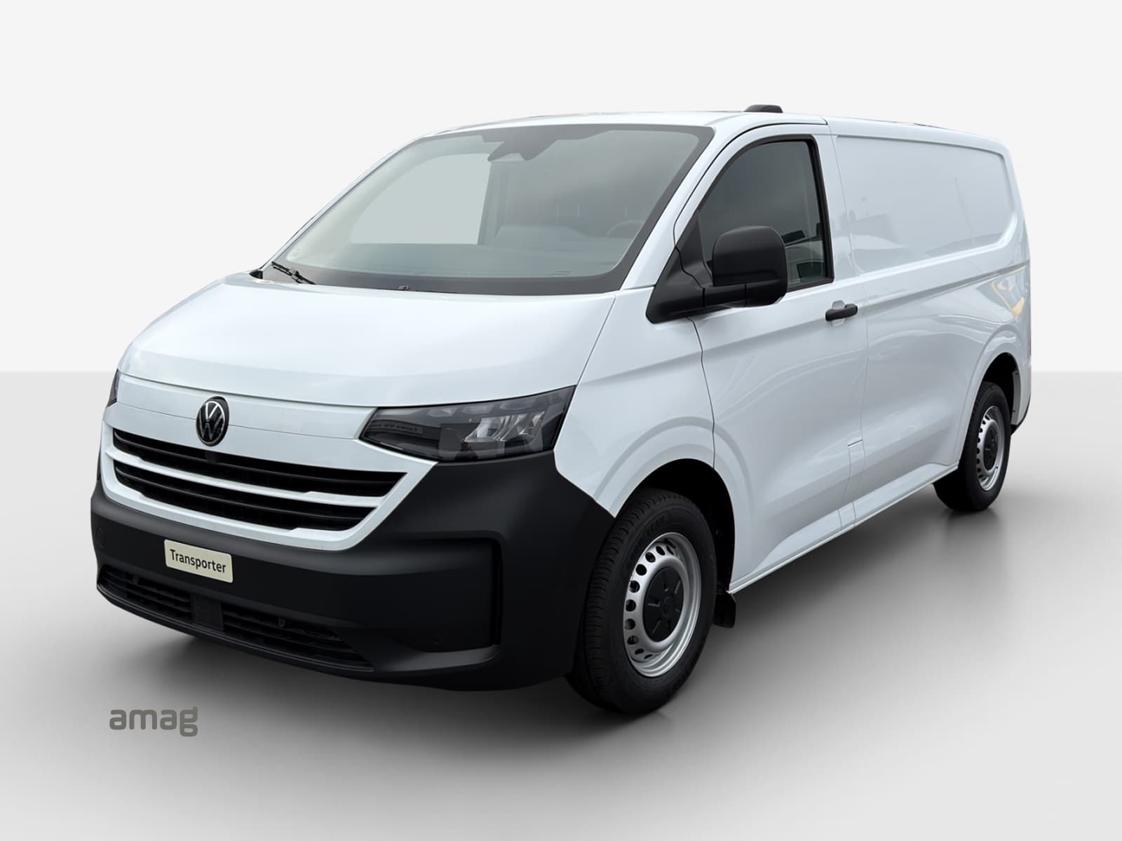 Transporter Kastenwagen BEV RS 3100mm