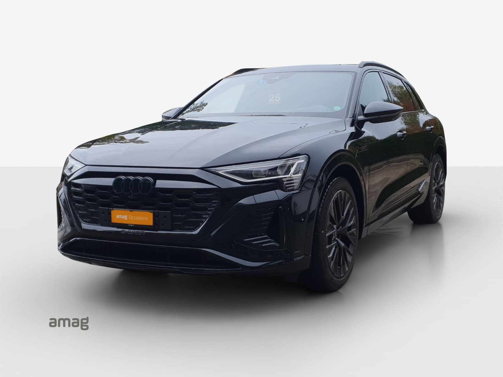 Q8 50 e-tron Black Edition