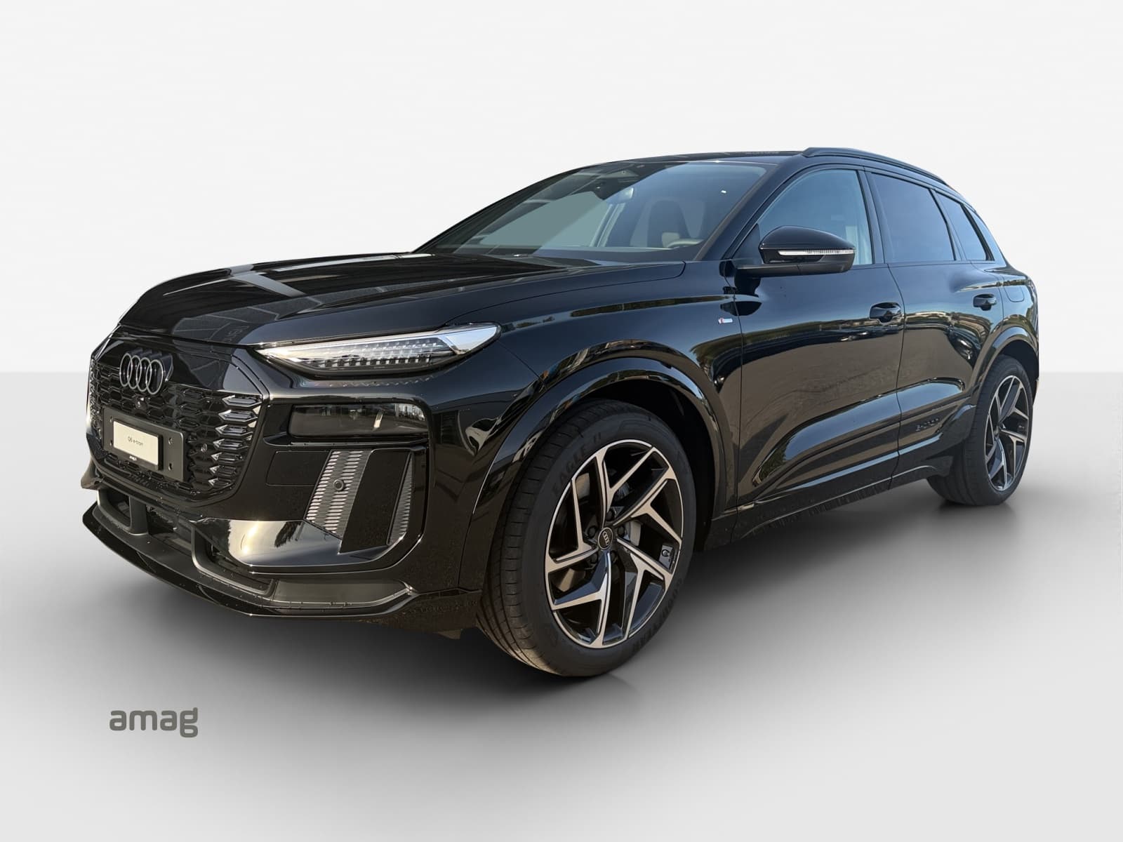 Q6 SUV e-tron quattro