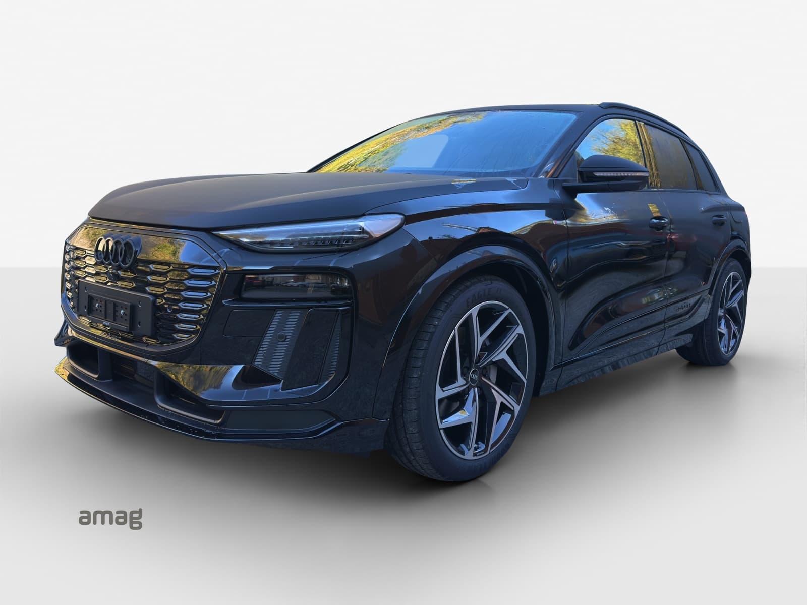 Q6 SUV e-tron quattro