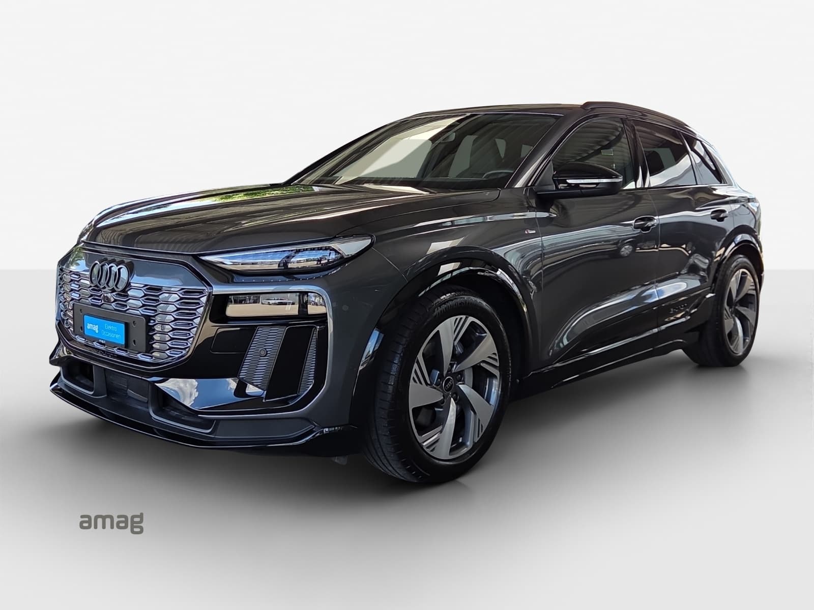 Q6 SUV e-tron quattro