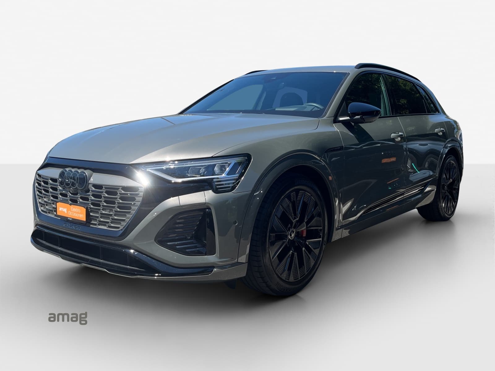 Q8 55 e-tron Black Edition