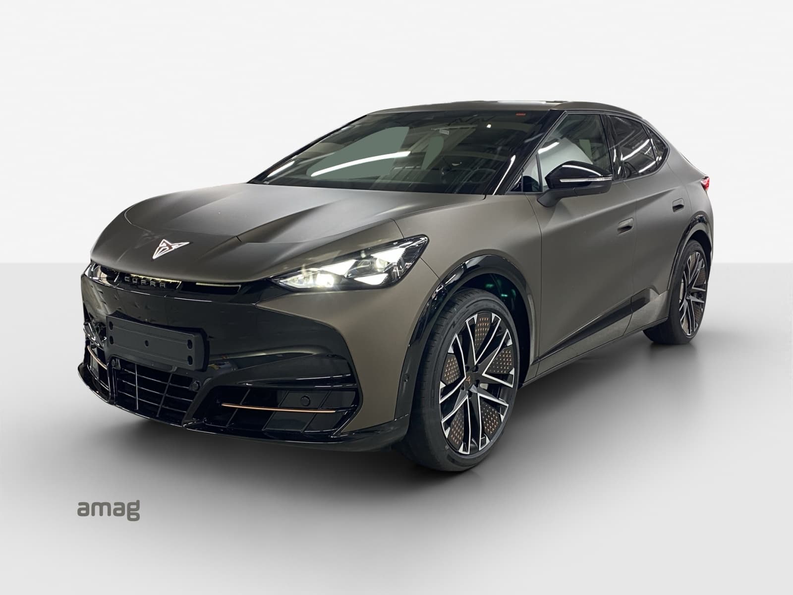 CUPRA TAVASCAN EXTREME TYPE 10 77kWh 340PS 4DRIVE (netto) PRIME EDITION