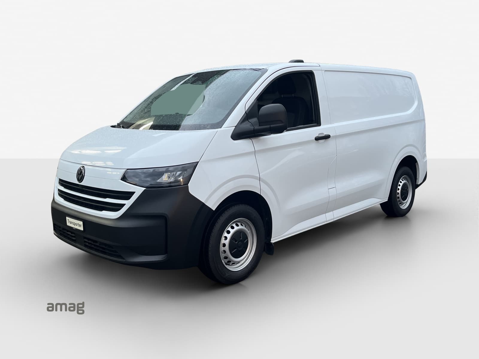 Transporter Kastenwagen BEV RS 3100mm